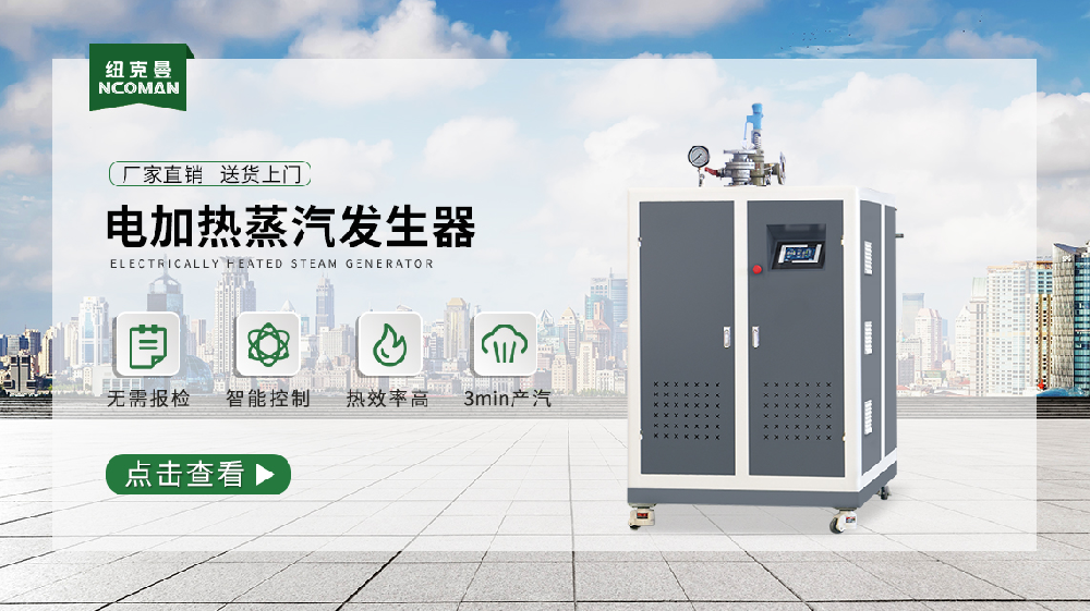 對電加熱蒸汽發(fā)生器的結(jié)構(gòu)進(jìn)行分析